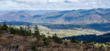 Karpat Dağları 'nda sonbahar manzarası