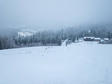 Karpat Dağlarının kış manzarası