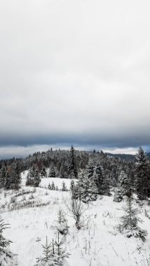 Dağları ve bulutlu gökyüzü olan karlı bir orman.