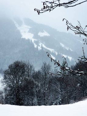 Kış dağı manzarası. Karpatların karlı dağları. ukraine