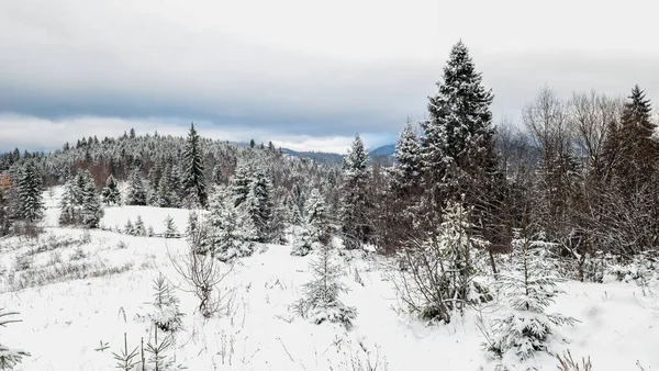 Karla kaplı ağaçlarla kaplı güzel kış manzarası