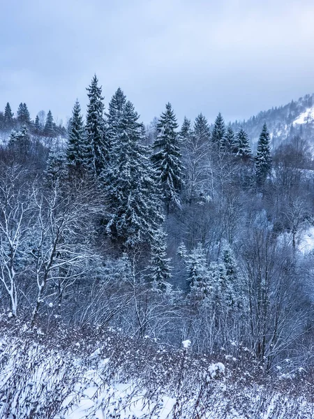 Karda kış manzarası - dağlarla kaplı.