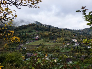 Güzel bir dağ manzarası.