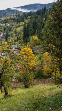 Dağlardaki renkli sonbahar ormanının güzel bir görüntüsü.