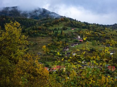 Karpat dağının güzel manzarası