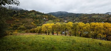 Renkli ağaçlarla dolu güzel sonbahar manzarası