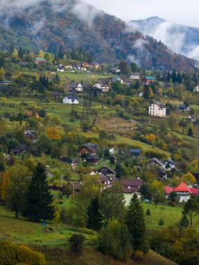 Renkli ağaçlar ve ormanlarla dolu sonbahar manzarası