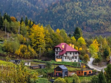Yeşilliklerle çevrili ahşap bir evin güzel bir görüntüsü.