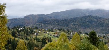 Renkli ağaçlarla dolu güzel dağ manzarası