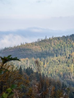 Karpatlar sonbaharda