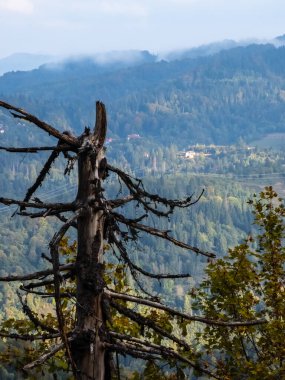 İsrail 'in kuzeyindeki dağların manzarası..