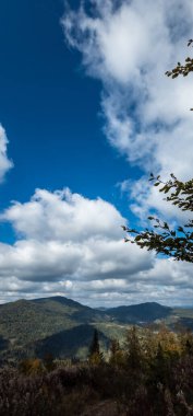 Bulutlu bir günde ağaçlarla çevrili güzel bir dağ görüntüsü.