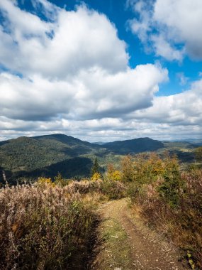Dağları ve ormanı olan güzel bir manzara.