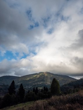 Bulutlu bir günün dikey çekimi. Arka planda bulutlu bir gökyüzünün ağaçları.