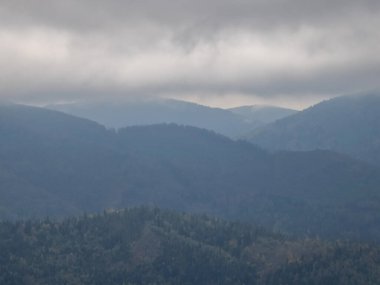 Bir dağ ve ormanı olan güzel bir manzara.