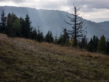 dağlarda sonbahar dağ manzara.