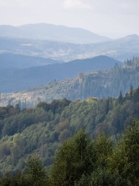 Arka planda ağaçlar olan yeşil bir vadi manzarası, güzel bir manzara, mavi gökyüzü, bulutlar ve güneş