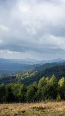 Ormanlı dağların güzel manzarası