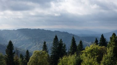 Yazın dağların güzel manzarası