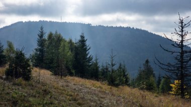Slovakya 'da güzel bir dağ manzarası