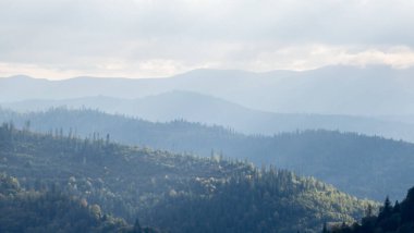 Karpatlar sonbaharda siste, güzel dağlarda