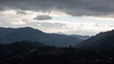 Arkasında orman olan bir dağ manzarasının dikey görüntüsü.