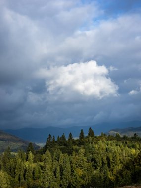 Dağlarda renkli ormanları olan güzel sonbahar manzarası, Karpat dağları