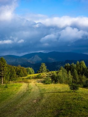 Ukrayna Karpatları 'nın yaz gününde manzara