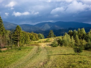 Dağlarda yeşil çimenlerin üzerinde bir patika.