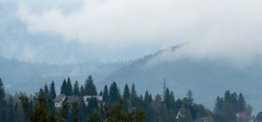 Dağların ve sisin manzarası