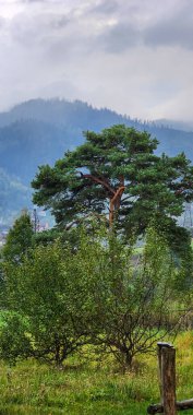 Tepenin tepesinden dağ manzarası.
