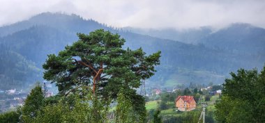 Dağ manzarası. Karpatlar 'daki dağ köyü..