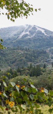 Dağlarda dağları olan güzel bir manzara.