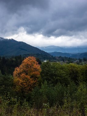 Renkli ağaçlarla dolu güzel dağ manzarası
