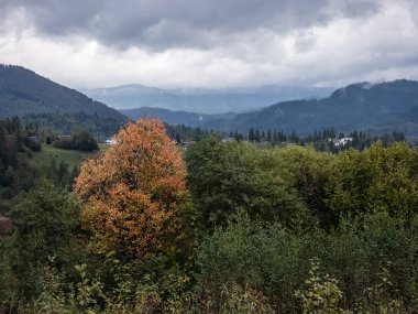 Karpatya dağlarında renkli bir sonbahar günü.