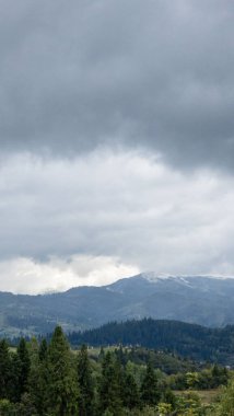 Dağlardaki ağaçların arka planında beyaz bulutlar olan bulutlu bir gökyüzünün güzel manzarası