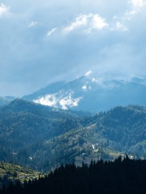 Sisli bir sabahta Karpatlar 'ın vadisinin manzarası.