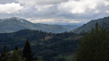 Yazın Karpatların dağlarının manzarası