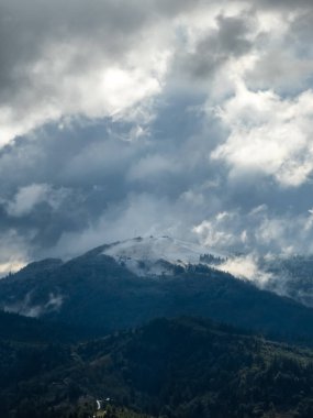 Bulutların altındaki karlı ormanın dikey görüntüsü.