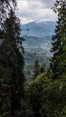 Ağaçlar ve ormanlarla dolu güzel bir dağ manzarası