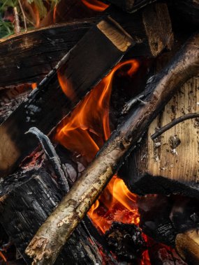 Ormandaki şenlik ateşinin yakın görüntüsü