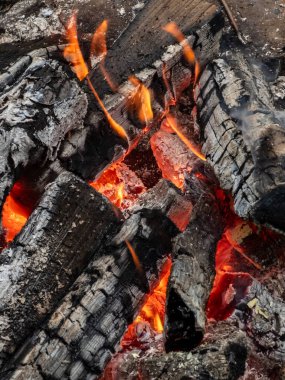 Ormanda yanan odunların yakın çekimi.