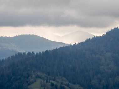 Karpatlar'ın dağ manzarası