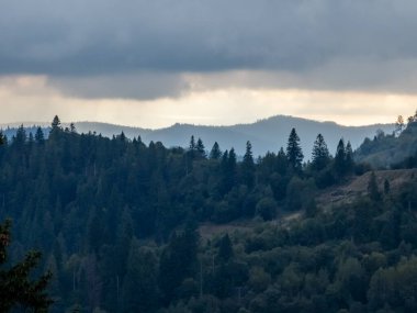 Ağaçlar ve dağlarla dolu sonbahar manzarası