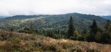 Dağlar ve ağaçlarla dolu sonbahar manzarası