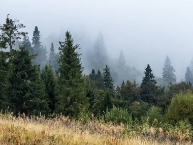 Dağlarda sonbahar sabahı.