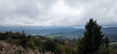 Arkasında bir dağ olan güzel bir manzara.
