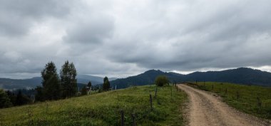 Ormandaki bulutların arasından yol