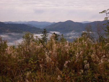 güzel dağ manzarası