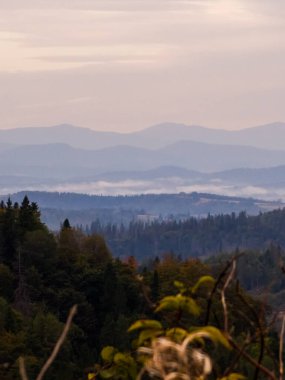 dağda sonbahar renkleri